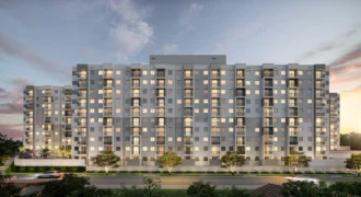 Mérito Lapa Mérito Lapa